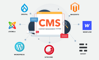 Picture of Content management system