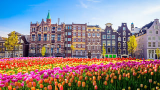 Picture of Amsterdam