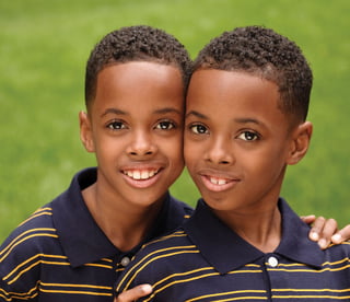 Picture of Twin