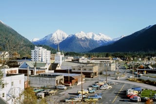 Picture of Sitka
