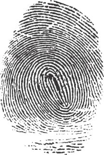 Picture of Fingerprint
