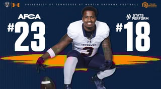 Picture of Tennessee-Martin Skyhawks football