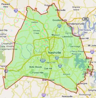 Picture of Davidson County