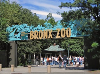 Picture of Bronx Zoo
