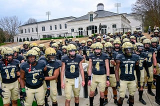 Picture of Wofford Terriers football