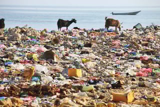 Picture of Plastic pollution