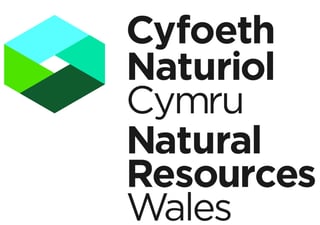 Picture of Natural Resources Wales