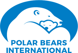 Picture of Polar Bears International