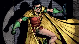 Picture of Robin