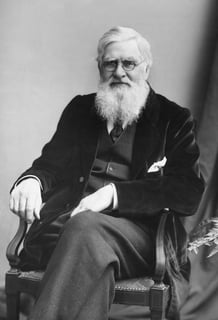 Picture of Alfred Russel Wallace