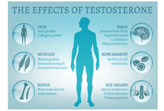Picture of Hormone replacement therapy