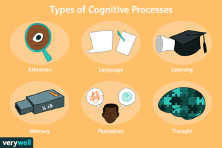 Picture of Cognition