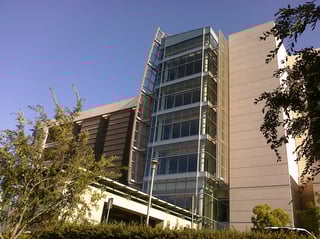 Picture of Duarte
