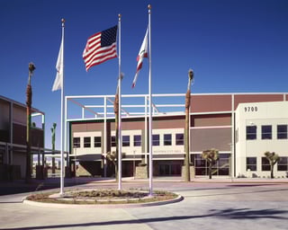 Picture of Hesperia