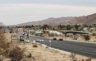 Picture of Joshua Tree