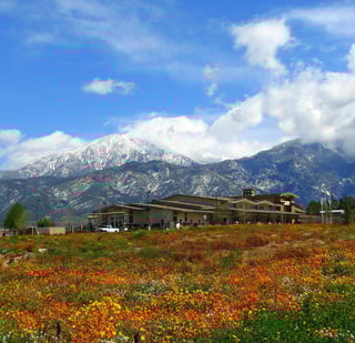 Picture of Yucaipa