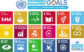 Picture of Sustainable Development Goals