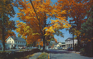 Picture of Wilton