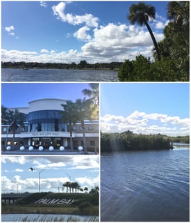 Picture of Palm Bay