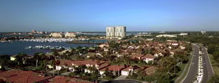 Picture of Palmetto