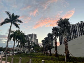 Picture of Doral