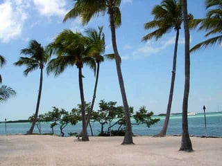 Picture of Islamorada