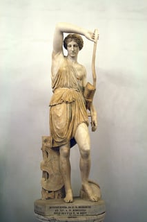 Picture of Amazons