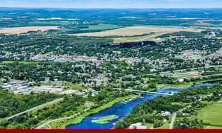 Picture of Caribou