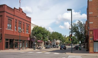 Picture of Hopkins