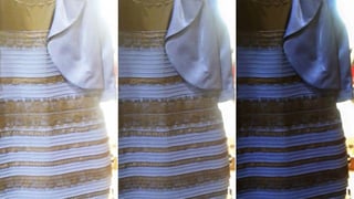 Picture of Viral phenomenon