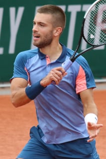 Picture of Borna Coric