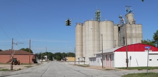 Picture of Rising City