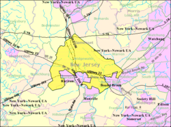 Picture of Bridgewater Township