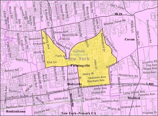 Picture of Farmingville