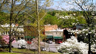 Picture of Tryon