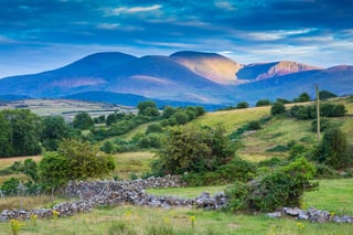 Picture of County Down