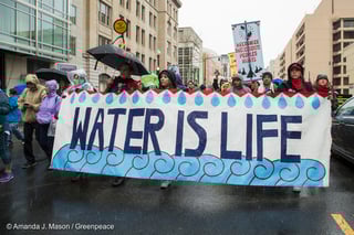 Picture of Greenpeace USA