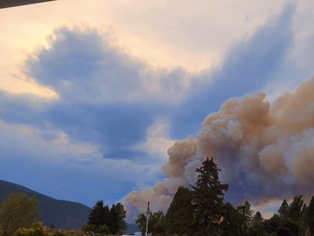 GOOSEMUS WILDFIRE