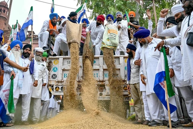 Protesting farmers dump sacks of basmati rice along a street in Amritsar, Punjab, on September 28, 2024. Photo: AFP