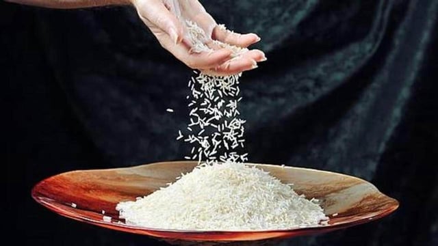 India is the world’s largest rice exporter, accounting for more than 40% of global rice shipments. (Representational image)