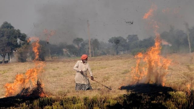 A farmer burns crop stubble in Punjab. Every year, farm fires cause air pollution in Delhi during winters. Delhi environment minister Gopal Rai will make a bio-decomposer solution that turns stubble into manure to prevent farmers from burning it. (HT Photo)