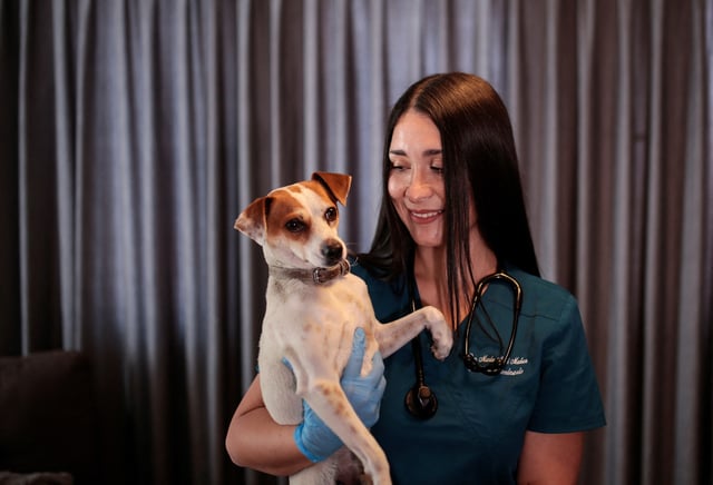A veterinarian holds a dog after receiving a vaccine for neutering dogs, created by Chilean scientists in Santago, Chile October 3, 2024. REUTERS/Vanessa Rubilar