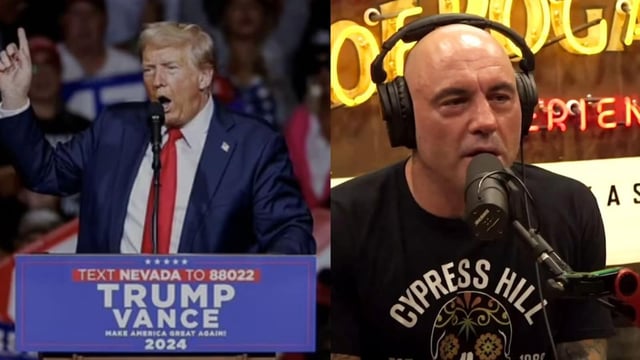 Donald Trump confirms Joe Rogan's podcast appearance: Report