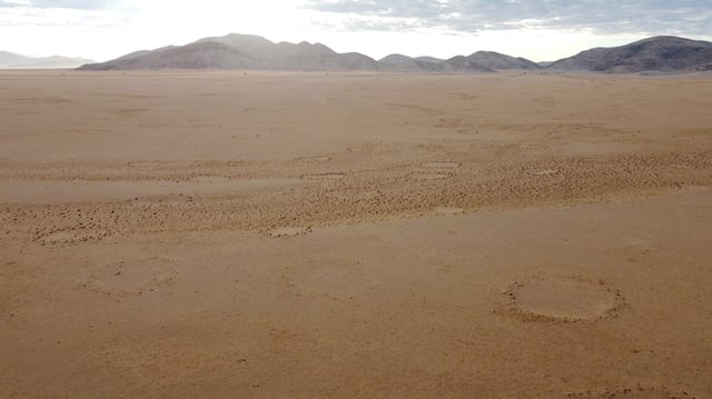 Fairy circles