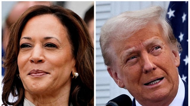 US Vice President Kamala Harris at the White House, Washington and former US President Donald Trump in Bedminster, New Jersey.