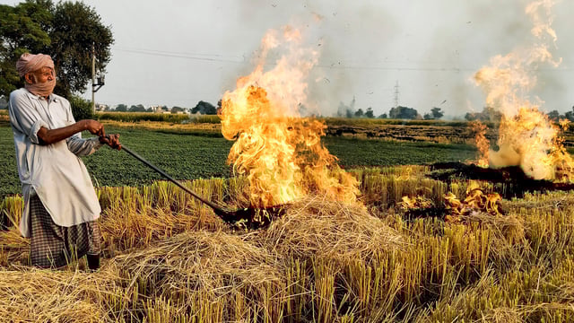 A farmer burns stubble at a paddy field, on the outskirts of Amritsar (File image)