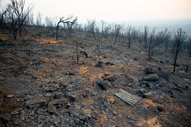 Bush fire devastation in Australia. Credit: Adwo / Alamy Stock Photo