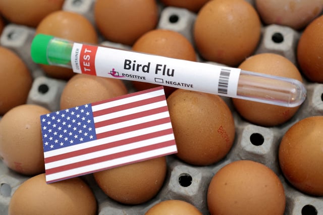A test tube labelled "Bird Flu", eggs and a piece of paper in the colors of the U.S. national flag are seen in this picture illustration, January 14, 2023. REUTERS/Dado Ruvic/Illustration/File Photo