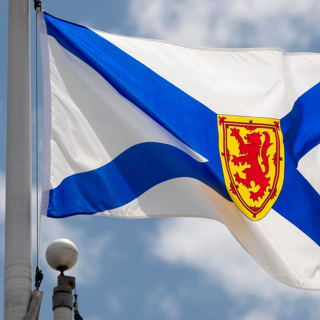 A 14-year-old girl has pleaded guilty to a reduced charge of manslaughter in the stabbing death of a 16-year-old boy near a Halifax mall earlier this year. Nova Scotia's provincial flag flies on a flag pole in Ottawa on July 3, 2020.  THE CANADIAN PRESS/Adrian Wyld