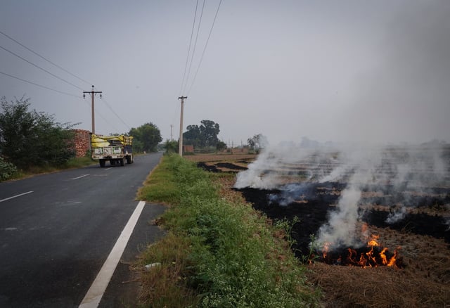 A tractor is seen next to burning stubble in a rice field at a village in Karnal in the northern state of Haryana, India, October 21, 2024. REUTERS/Bhawika Chhabra/File Photo